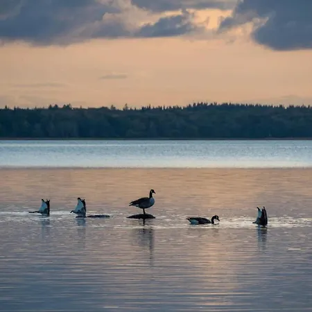 Semesterbostad 5 Person In Frederiksvaerk-by Traum