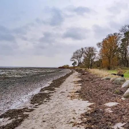 5 Person In Frederiksvaerk-by Traum Frederiksværk